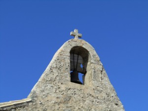 IMG_4436 (Medium)